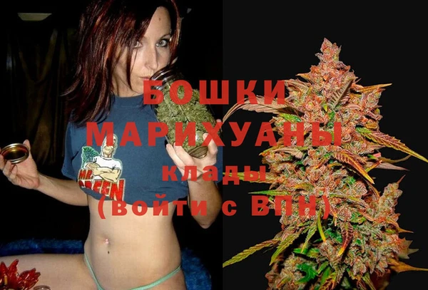 тгк Медногорск
