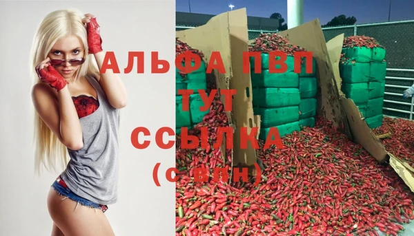 круглые Белокуриха