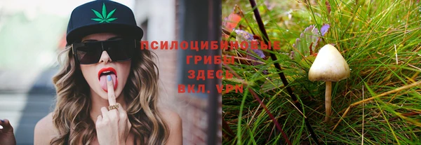 прущая мука Медвежьегорск