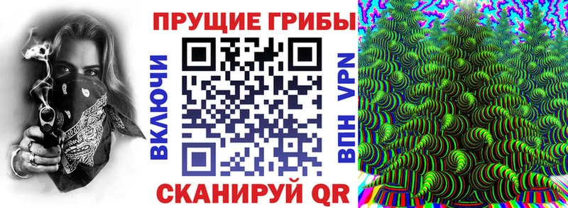 магазин    Моршанск  мега ссылка  Галлюциногенные грибы мухоморы 